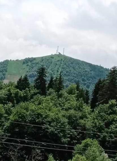 Hotel Archi Kokhta Bakuriani Kültér fotó
